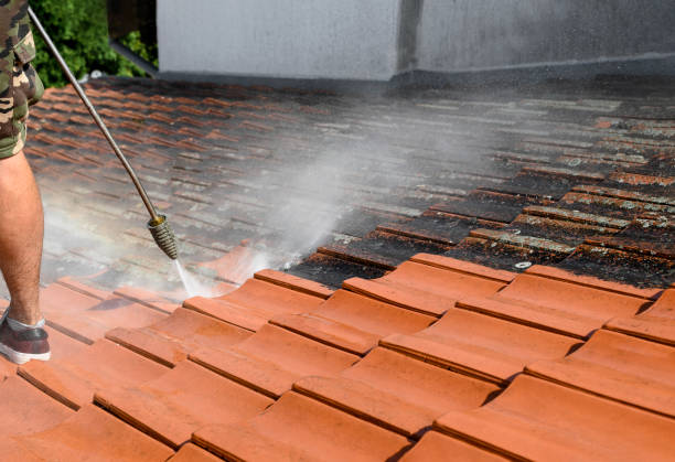 Deck Cleaning Services in Forest Ranch, CA