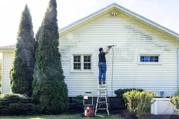 Best Roof Pressure Washing  in Forest Ranch, CA